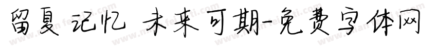 留夏记忆 未来可期字体转换